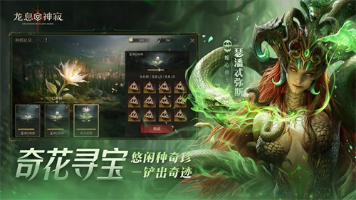 龙息神寂3